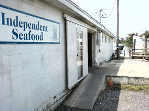 Independent Seafood in Georgetown, SC - Fresh Shrimp