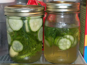 quick pickles with jalapeno, garlic and dill
