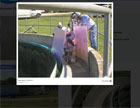 photo gallery